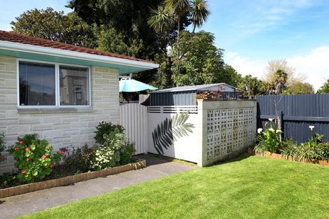 Photo of property in 220a Wolseley Street, Mayfair, Hastings, 4122