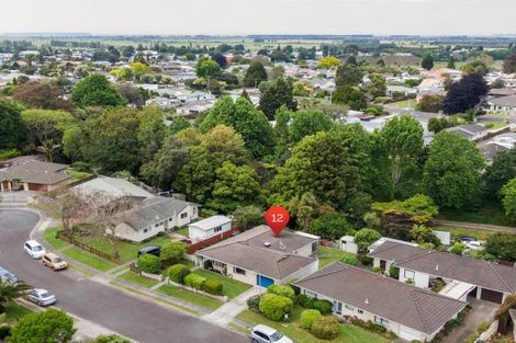 Photo of property in 12 Norrie Street, Te Puke, 3119