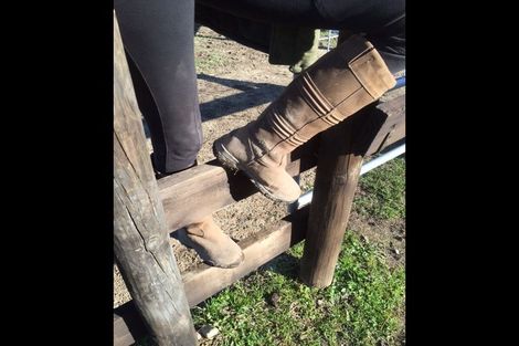 Photo of property in 172 Haringa Road, Carrington, Carterton, 5791