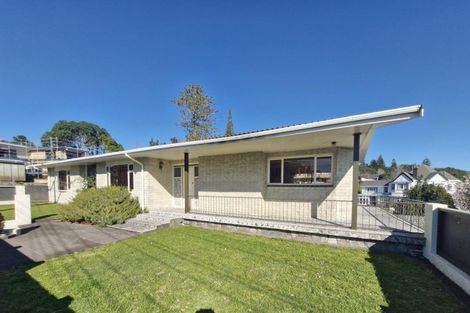 Photo of property in 42 Cameron Street, New Plymouth, 4310