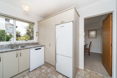 Photo of property in 45 Dittmer Drive, Awapuni, Palmerston North, 4412