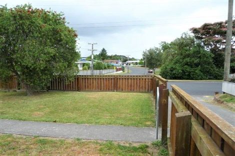 Photo of property in 31 Clothier Street, Putaruru, 3411