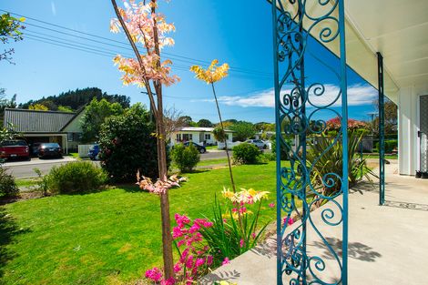 Photo of property in 36 Adair Street, Whataupoko, Gisborne, 4010