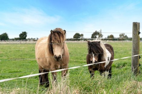 Photo of property in 664 Depot Road, Burnt Hill, Oxford, 7495