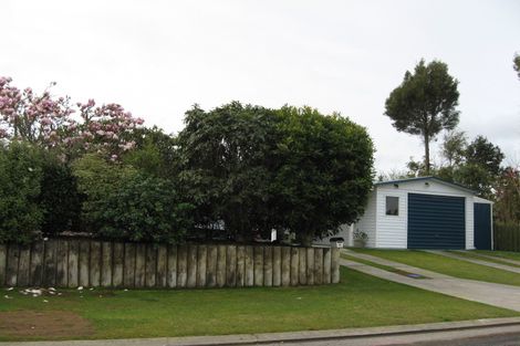 Photo of property in 3 Puka Place, Inglewood, 4330