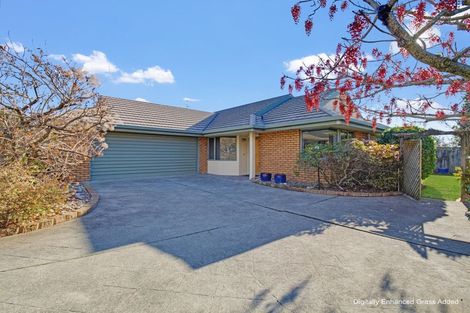 Photo of property in 8 Idesia Grove, Richmond, 7020
