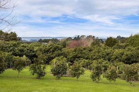 Photo of property in 360c Wharawhara Road, Tahawai, Katikati, 3178