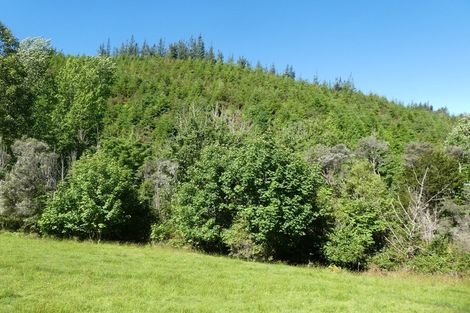 Photo of property in 168 Graham Valley Road, Motueka Valley, Motueka, 7196