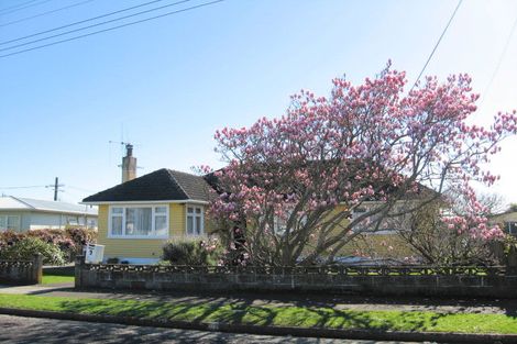 Photo of property in 9 Bledisloe Street, Levin, 5510