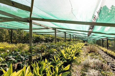 Photo of property in 307 Pomona Road, Ruby Bay, Upper Moutere, 7173