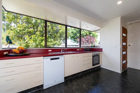 Photo of property in 43 Ryan Crescent, Greenmeadows, Napier, 4112