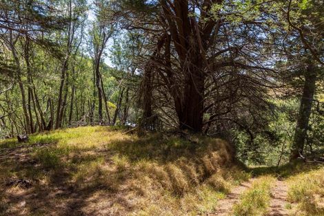 Photo of property in Annedale Road, Tinui, 5894