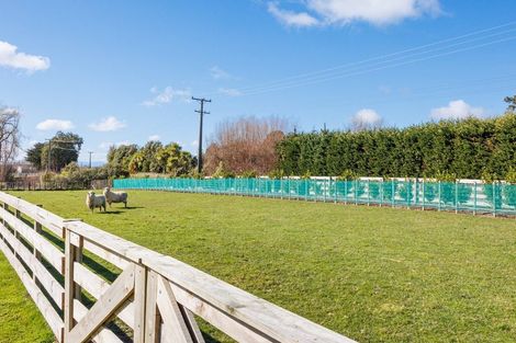 Photo of property in 140 Mount Biggs Road, Halcombe, 4779