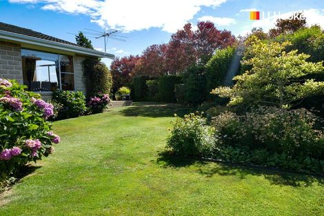 Photo of property in 39 Kirkwall Street, Palmerston, 9430