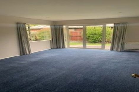 Photo of property in 44a Moreland Avenue, Papanui, Christchurch, 8053