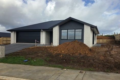 Photo of property in 19 Vercoe Crescent, Morrinsville, 3300