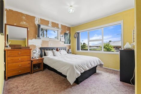 Photo of property in 19 Bledisloe Avenue, Putaruru, 3411