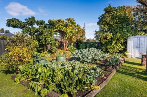 Photo of property in 21 Karina Terrace, Roslyn, Palmerston North, 4414