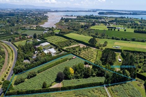 Photo of property in 42 Borell Road, Te Puna, Tauranga, 3174