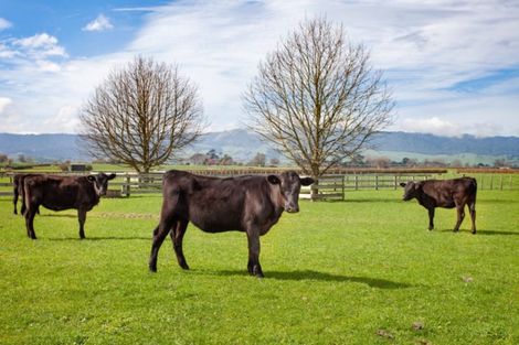 Photo of property in 564 Taihoa Road South, Matamata, 3473
