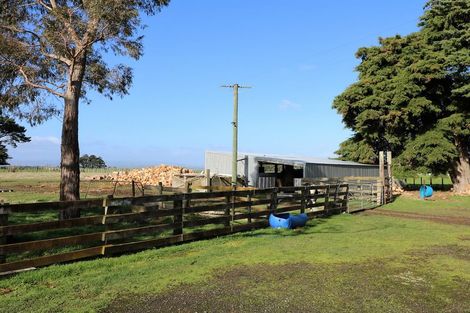 Photo of property in 172 Haringa Road, Carrington, Carterton, 5791