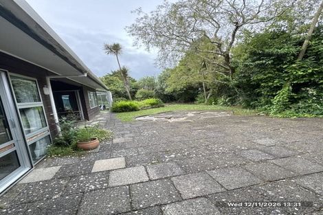 Photo of property in 101 Newcastle Road, Dinsdale, Hamilton, 3204