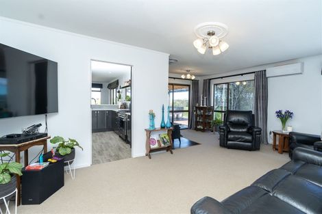 Photo of property in 307 Exelby Road, Burbush, Hamilton, 3288