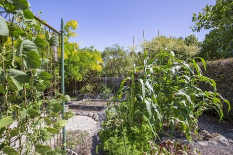 Photo of property in 75 Manuka Street, Lansdowne, Masterton, 5810