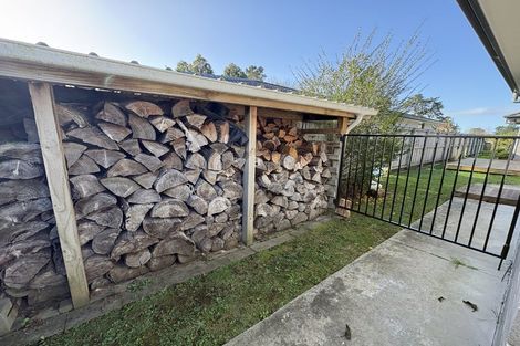Photo of property in 3 Moiras Lane, Fitzroy, Hamilton, 3206