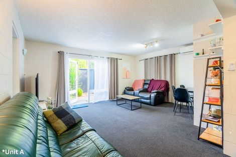 Photo of property in 25a Opoia Road, Hamilton East, Hamilton, 3216