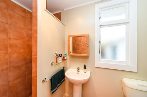 Photo of property in 48 Limbrick Street, Terrace End, Palmerston North, 4410