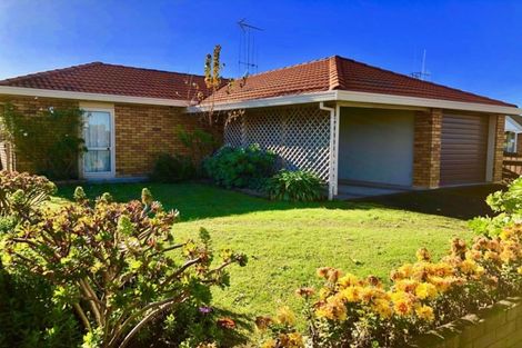Photo of property in 103a Clarkin Road, Fairfield, Hamilton, 3214