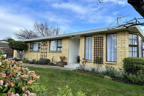 Photo of property in 172-174 Ward Street, Hargest, Invercargill, 9810