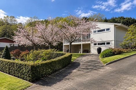 Photo of property in 47 Seddon Crescent, Whataupoko, Gisborne, 4010