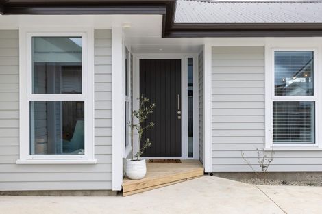 Photo of property in 53b Argyle Avenue, Takaro, Palmerston North, 4410