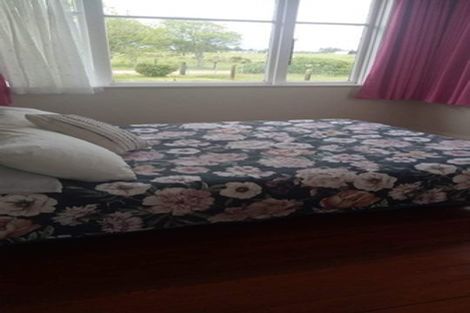 Photo of property in 562 Bird Road, Whataroa, 7886