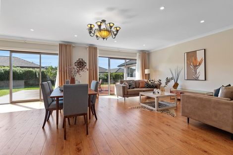 Photo of property in 14 Loftus Place, Flagstaff, Hamilton, 3210