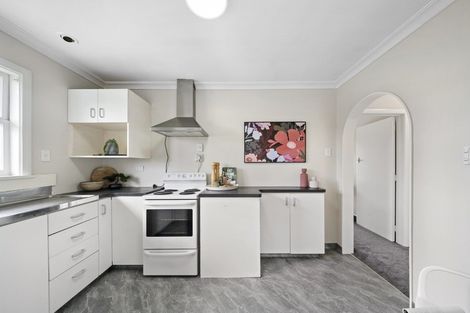 Photo of property in 96 Tiro Tiro Road, Levin, 5510