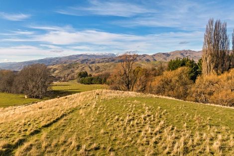 Photo of property in 236 Warburton Crescent, Te Awamutu, 3800