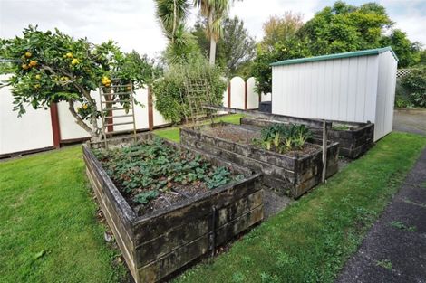 Photo of property in 17 Velma Crescent, Nawton, Hamilton, 3200