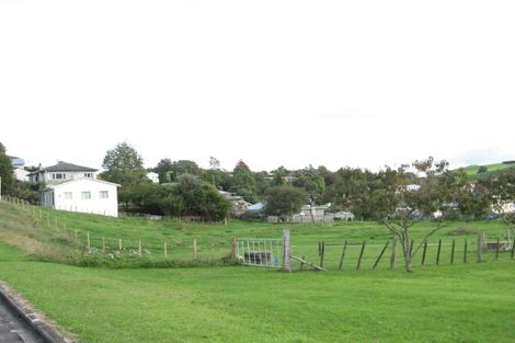 Photo of property in 21 Rose Street, Tirau, 3410