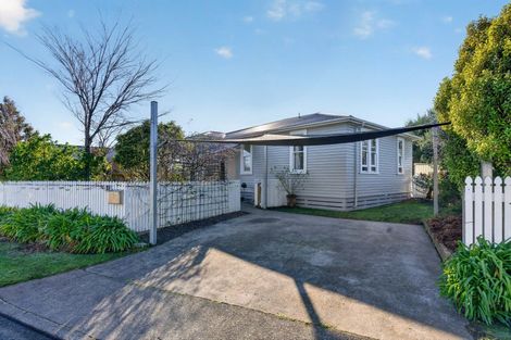 Photo of property in 17 Naples Street, Martinborough, 5711