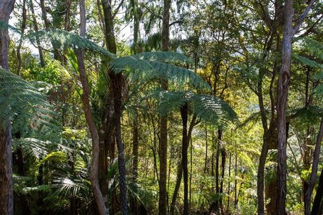 Photo of property in 15 Te Aute Ridge Road, Waitakere, Auckland, 0781