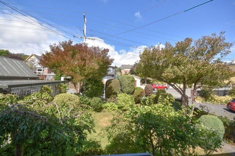 Photo of property in 53 Signal Hill Road, Opoho, Dunedin, 9010