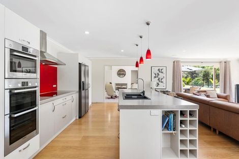 Photo of property in 17 Kahia Lane, Redvale, Albany, 0792