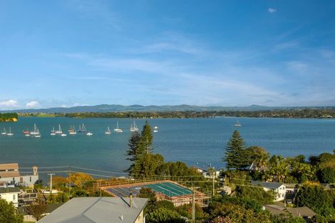 Photo of property in 49 Coppelia Avenue, Omokoroa, 3114