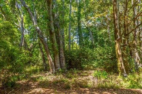 Photo of property in 15 Woodlands Way, Greytown, 5712