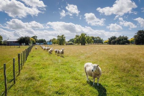 Photo of property in 226 Waughs Road, Bunnythorpe, Feilding, 4775