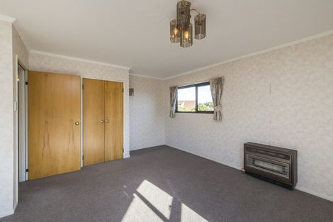 Photo of property in 225 The Terrace, Ashhurst, 4810