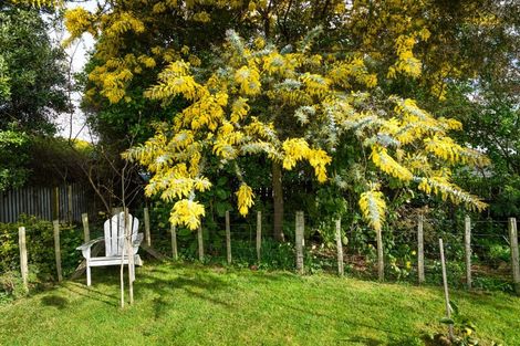 Photo of property in 41 Hammond Street, Bulls, 4818